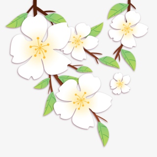 春天春暖花开文艺清新扁平梨花装饰