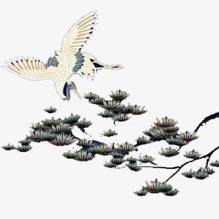 一只大雁徘徊在松树上