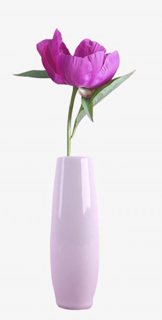 花瓶里的小红花