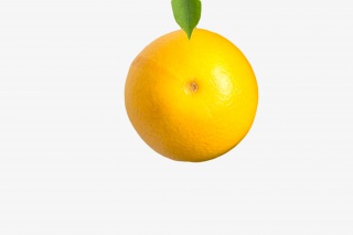 水果橙子