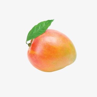 新鲜芒果
