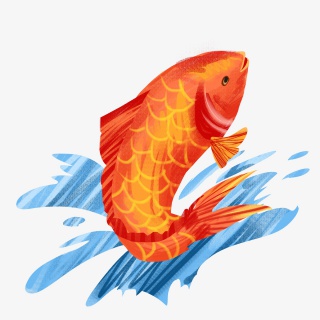 锦鲤