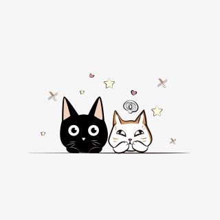 猫咪、小黑猫、矢量图、卡通动物