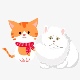 典雅猫咪他那憨状的样子让人发笑