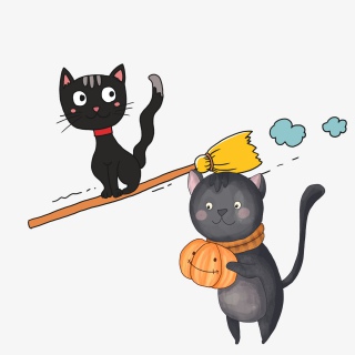 典雅猫咪他那憨状的样子让人发笑