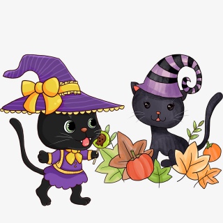 典雅猫咪他那憨状的样子让人发笑