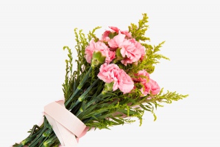 粉红康乃馨花卉花束