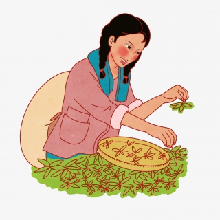 五一劳动节采茶女PNG免抠