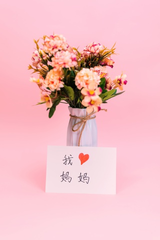 母亲节我爱妈妈