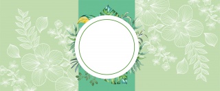 夏日上新文艺小清新绿色banner