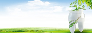 全国爱牙日绿色清新牙齿banner