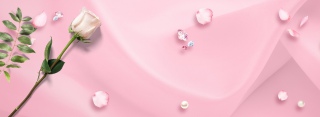 粉色浪漫玫瑰banner
