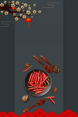 中华中式美食香料背景