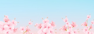新春上新樱花banner