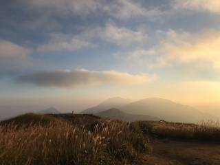 武功山芦苇群景色