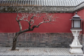 北京故宫一角局部摄影图
